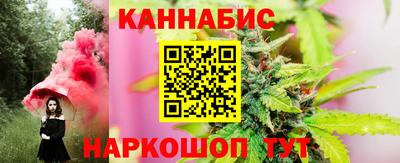 СК Бийск