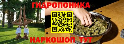 СК Бийск
