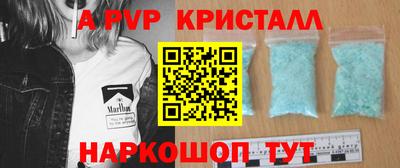 СК Бийск