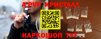 СК Бийск
