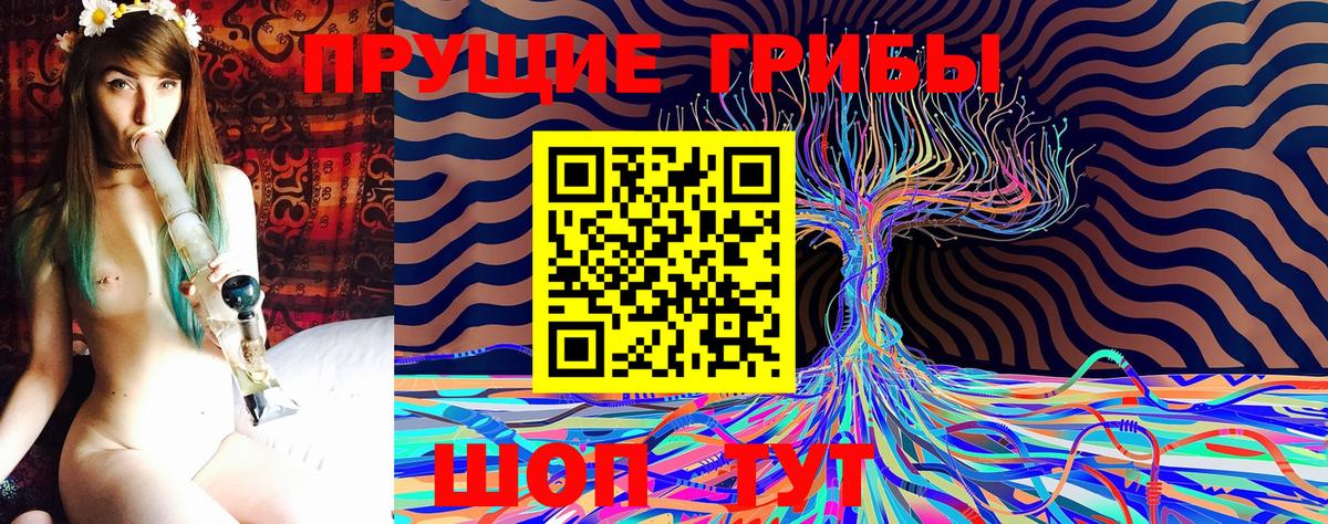 Балахна  Псилоцибиновые грибы GOLDEN TEACHER  Вход с VPN 